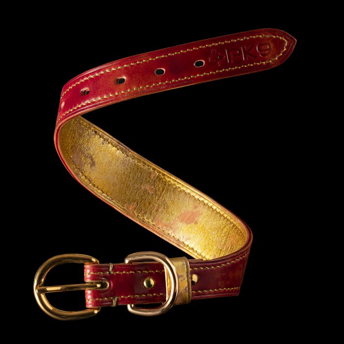 Collar ajustable antitirón