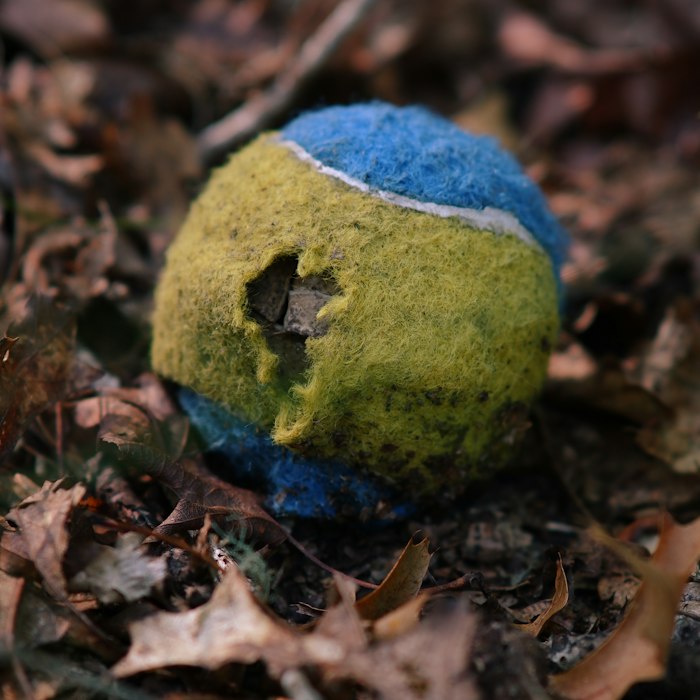 Pelota mordedora resistente