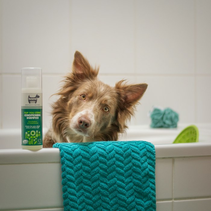 Shampoo hipoalergénico 500 ml