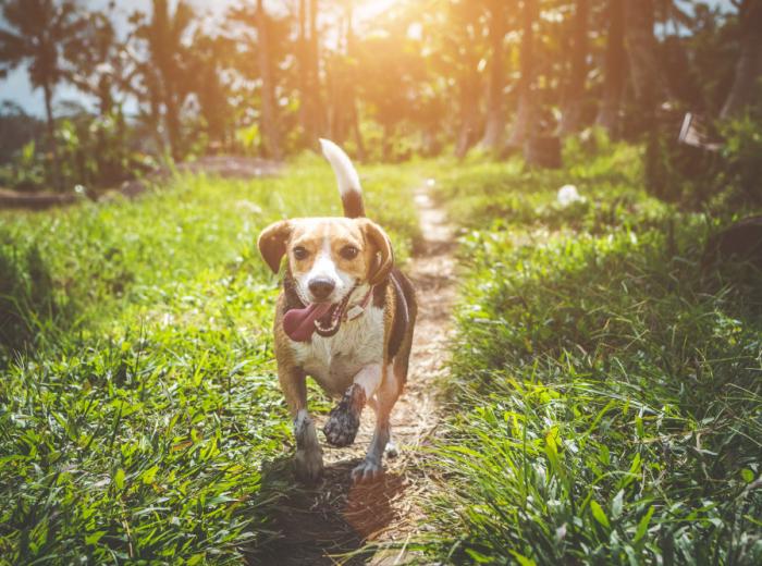 Guardería de día